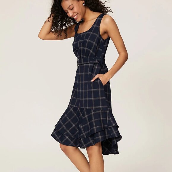 Great Jones  Blue Plaid Dress - Picture 4 of 14